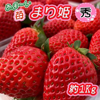 【2023年2月下旬発送】あま～い!まりひめ苺1kg『和歌山ブランド苺』約250g×4パック【秀品