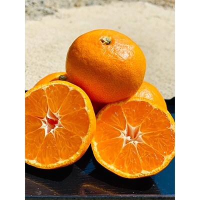 由良早生みかん4kg