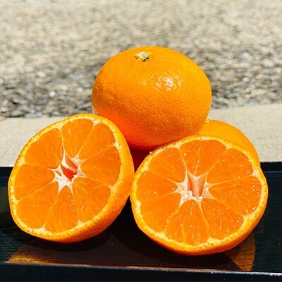有田みかん3kg