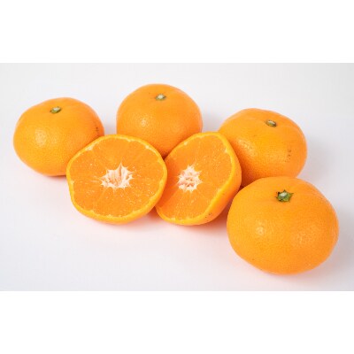 樹上完熟由良早生約2.5kg