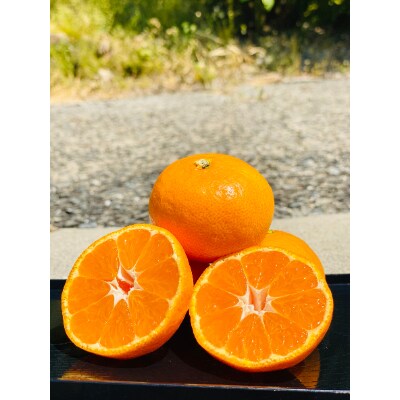樹上完熟由良早生約4kg