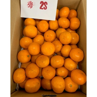＜先行受付＞【数量限定】【赤秀特選品】　　　有田みかん2Sサイズ約10kg