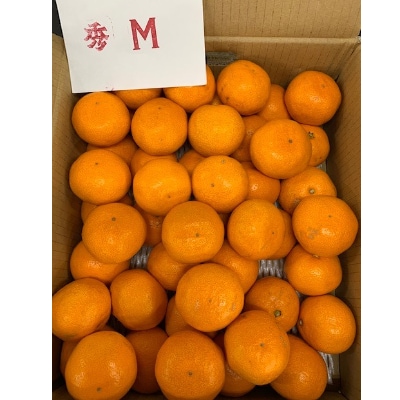 ＜先行受付＞【数量限定】【赤秀特選品】　　　有田みかんS、Мサイズ約10kg