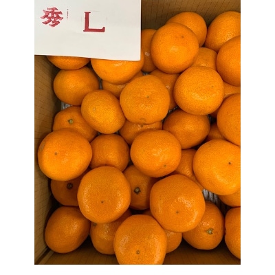 ＜先行受付＞【数量限定】【赤秀特選品】　　　有田みかんL、2Lサイズ約10kg