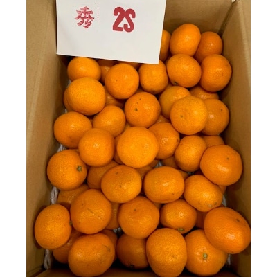 ＜先行受付＞【数量限定】【赤秀特選品】　　　有田みかん2Sサイズ約5kg