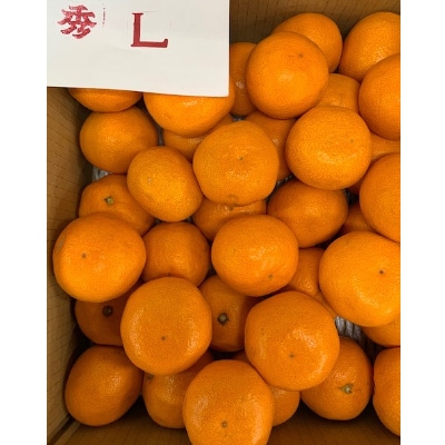 ＜先行受付＞【数量限定】【赤秀特選品】　　有田みかんL、2Lサイズ約5kg