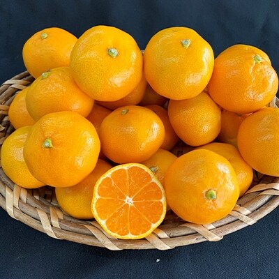 ＜先行受付＞【数量限定】有田みかん青秀L　　　、2Lサイズ約5kg