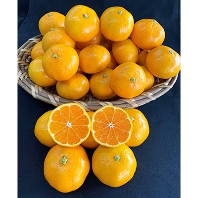 ＜先行受付＞【数量限定】有田みかん3L　　、大玉サイズ約10kg