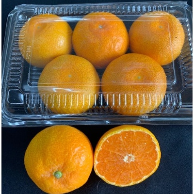 ハウスみかん　6パック