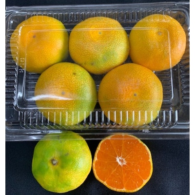 グリーンハウスみかん　4パック