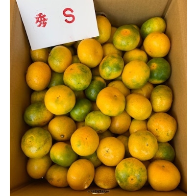【先行受付】極早生みかん　赤秀品　　　　Sサイズ　5kg