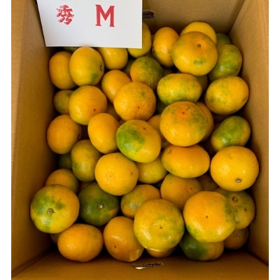 【先行受付】極早生みかん　赤秀品　　　　Мサイズ　5kg