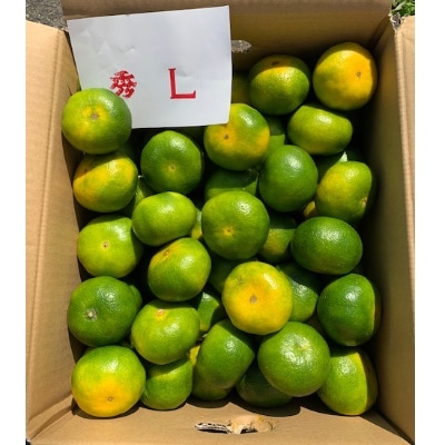 【先行受付】極早生みかん　赤秀品　　　　Lサイズ　5kg