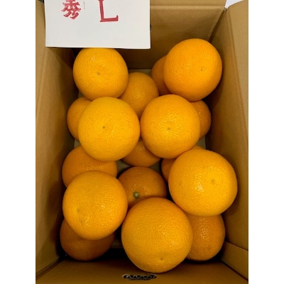 はっさく　赤秀品　Lサイズ　5kg