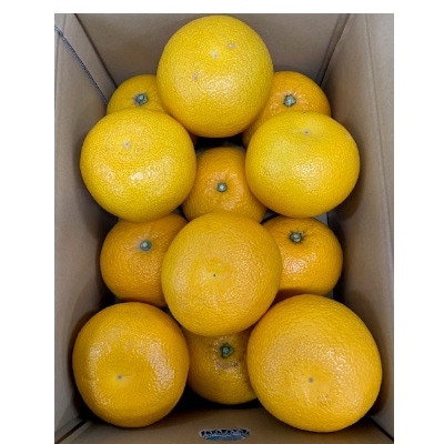 はっさく　赤秀品　2L、3Lサイズ　5kg