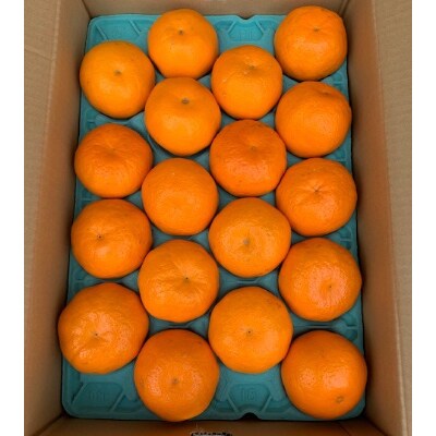 <先行受付>完熟　はるみオレンジ　　　　22~15玉入り
