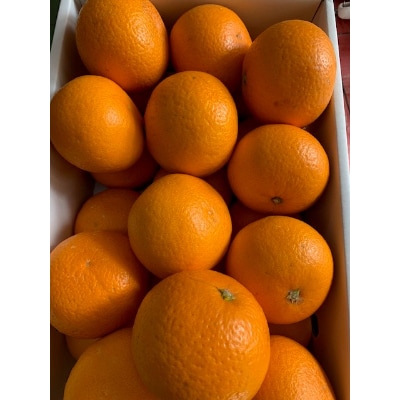 <先行受付>キヨミオレンジ　秀優品　　サイズ混合　5kg