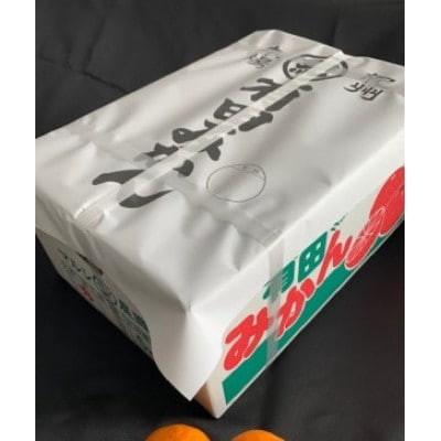 ＜先行受付＞有田みかん　5kg/2S～L　サイズ混合