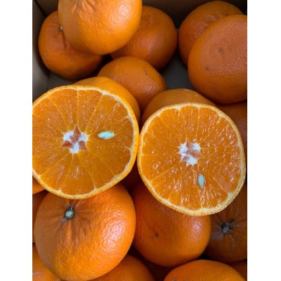 麗紅柑(れいこう)　青秀品家庭用　2S～3Lサイズ　約3kg　和歌山県有田産