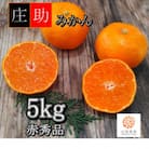 <先行受付>有田・庄助みかん5kg(赤秀品)