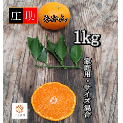 ＜先行受付＞有田・庄助みかん1kg(家庭用品・サイズ混合)