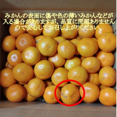 ＜先行受付＞有田・庄助みかん1kg(家庭用品・サイズ混合)