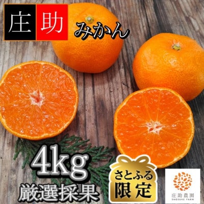 【さとふる限定】｟先行受付2026年10月末より順次発送》有田・庄助みかん4kg【厳選採果】