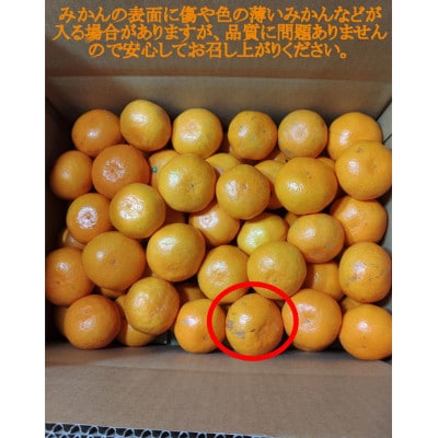 【さとふる限定】｟先行受付2026年10月末より順次発送》有田・庄助みかん4kg【厳選採果】