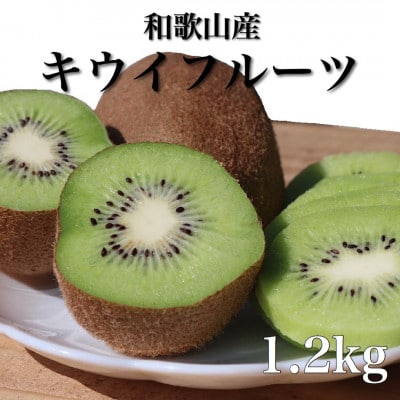 ＜先行受付＞和歌山産　キウイフルーツ　約1.2kg　秀品