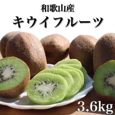【2027年1月下旬より順次発送】和歌山産　キウイフルーツ　M～4Lサイズ　約3.6kg　秀品