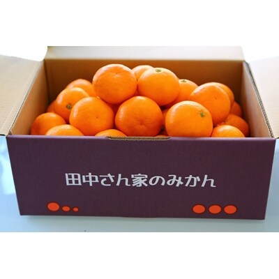 【数量限定】こだわり手詰め　完熟有田みかんMサイズ(4.7kg)(2024年12月発送)