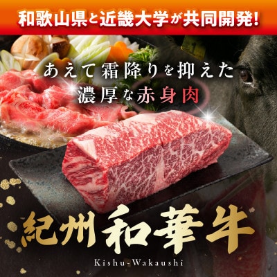 紀州和華牛　ローストビーフ　250g×2個　計500g(タレ付き)