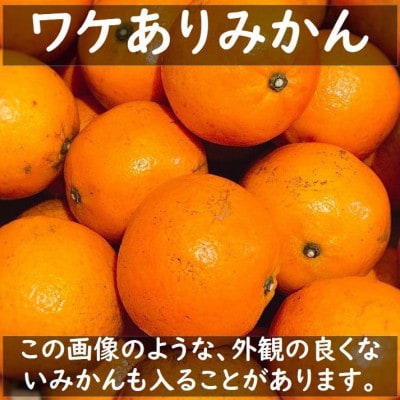 【11月より順次発送】和歌山県ありだ産　ワケありみかん10kg　2L～3S(サイズおまかせ)