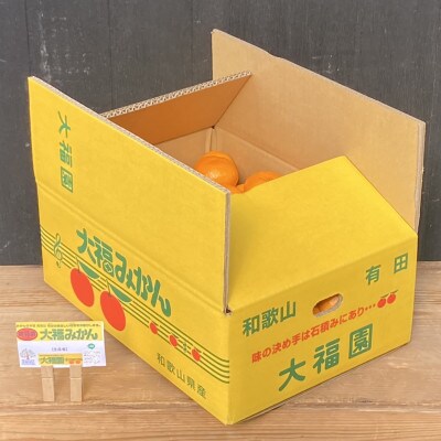 【11月より順次発送】和歌山県ありだ産　みかん5kg　L～S(サイズおまかせ)約0.5kg増量