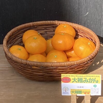 【11月より順次発送】和歌山県ありだ産　みかん10kg　L～S(サイズおまかせ)約1kg増量