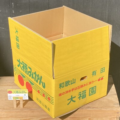 【11月より順次発送】和歌山県ありだ産　みかん10kg　L～S(サイズおまかせ)約1kg増量