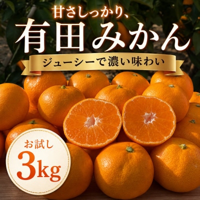 【先行受付】はじめまして 有田みかん 3kg　和歌山県湯浅町産　家庭用・味重視