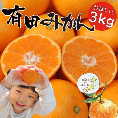 【2026年　年内発送】はじめまして 有田みかん 3kg　和歌山県湯浅町産　味重視