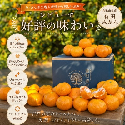 【先行受付】はじめまして 有田みかん 3kg　和歌山県湯浅町産　家庭用・味重視