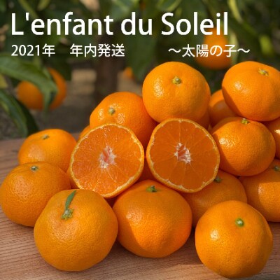 L'enfant du soleil ~太陽の子~　和歌山県産　有田みかん 3kg【数量限定】