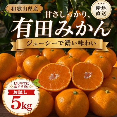 【先行予約】はじめまして 有田みかん 5kg 和歌山県産 食べきりやすい お試しサイズ