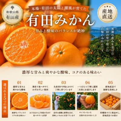 【先行予約】はじめまして 有田みかん 5kg 和歌山県産 食べきりやすい お試しサイズ