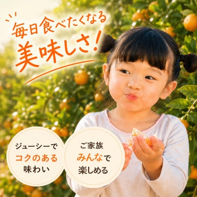 【先行予約】はじめまして 有田みかん 5kg 和歌山県産 食べきりやすい お試しサイズ