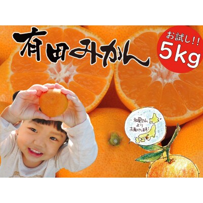 【期間限定受付】はじめまして有田みかん　和歌山県産　お試し5kg　/ORYY推奨