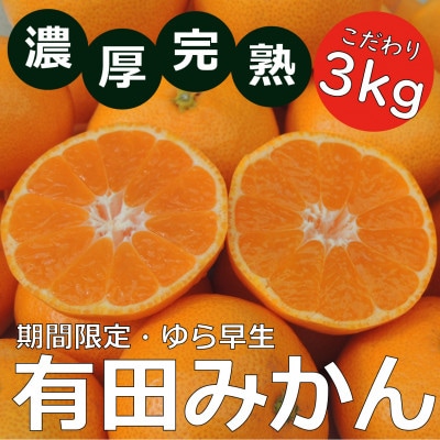 【甘味と酸味の調和】北真農園　有田みかん　ゆら早生　濃厚完熟　3kg　サイズ　混合　ORYY推奨