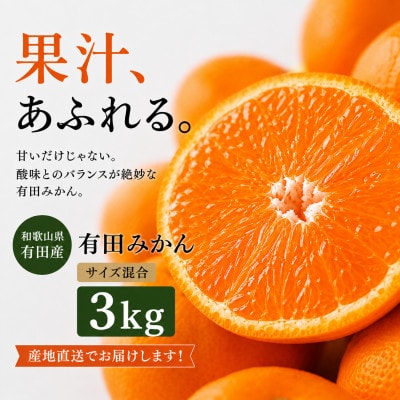 【先行受付】北真農園　有田みかん 家庭用 3kg　濃厚完熟　自宅用におすすめ