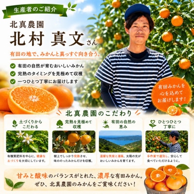 【先行受付】北真農園　有田みかん 家庭用 3kg　濃厚完熟　自宅用におすすめ