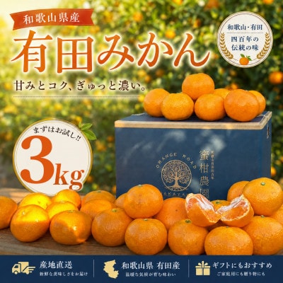【2026年11月～発送】はじめまして 有田みかん お試し 3kg  (和歌山県 有田川町産)　