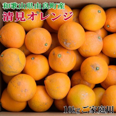 【訳あり・ご家庭用】和歌山由良町産の濃厚清見オレンジ約10kg(湯浅町)