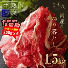 湯浅熟成肉 国産牛 切り落とし 1.5kg